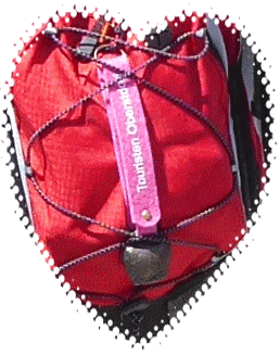 Oberstdorf-2018-7-7-115_Glöckchen