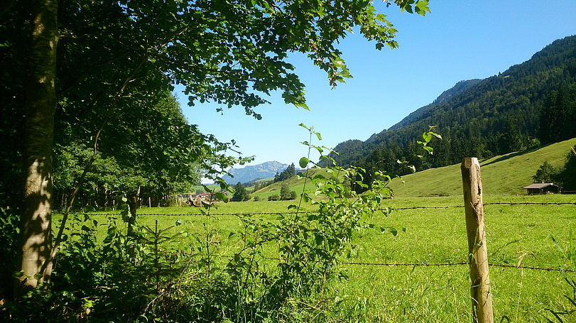 Schon mal der erste Blick auf Rubi.