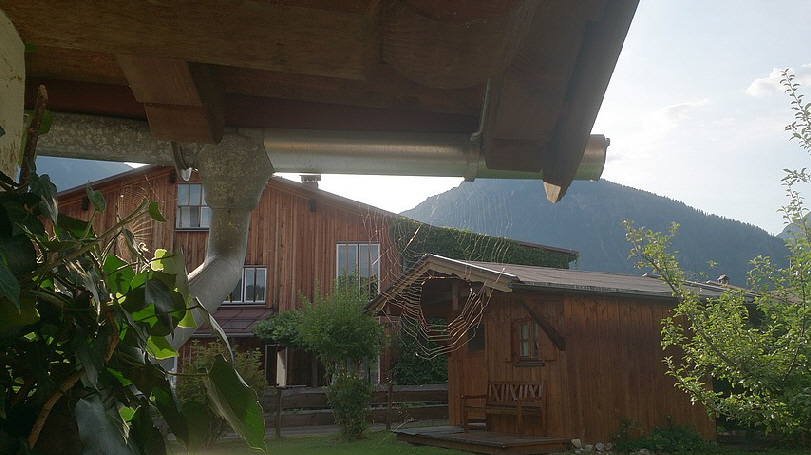 Unser liebes Haustier ist auch noch da, das ist wichtig!