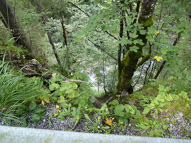 Da geht's aber bergab wenn man nicht auf dem Weg bleibt!