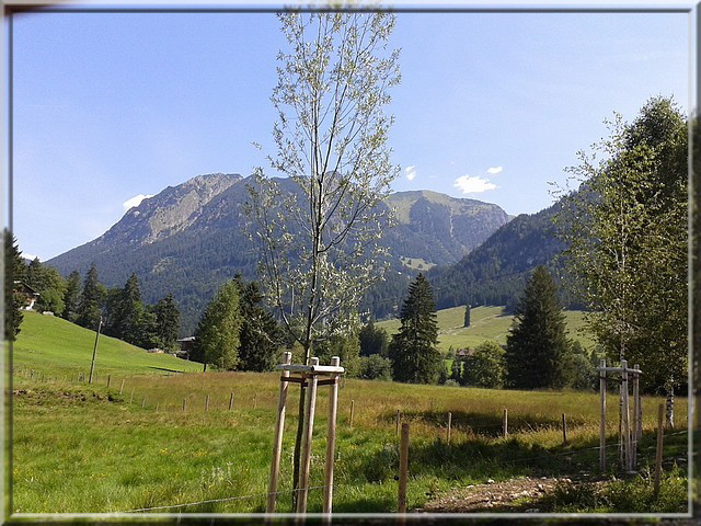 Blick auf das Gaishorn und Rubihorn.