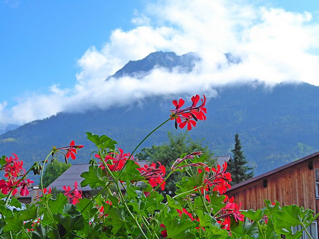 Gaishorn nach feuchter Nacht.