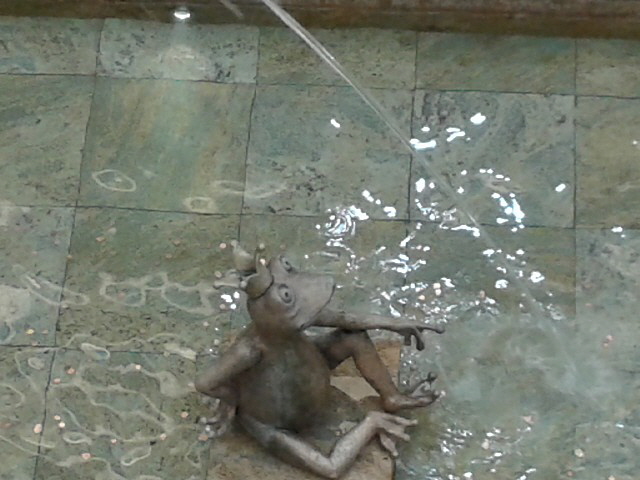 Im Kemptener Forum. Frosch umter'm Wasserspeier.