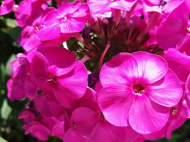 Farbenspiel auf der Terrasse.