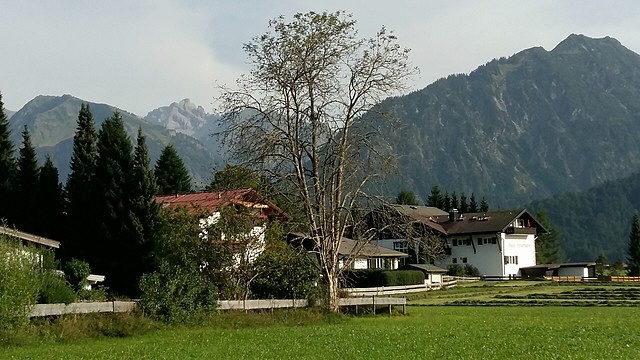 Blick über die Stillachwiese.