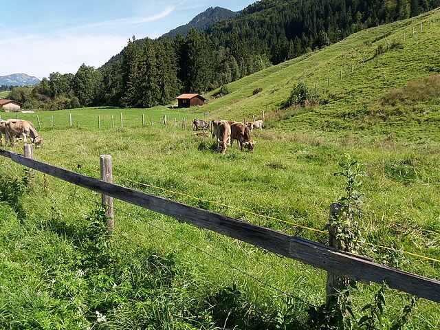 Kleiner Spaziergang nach Rubi.