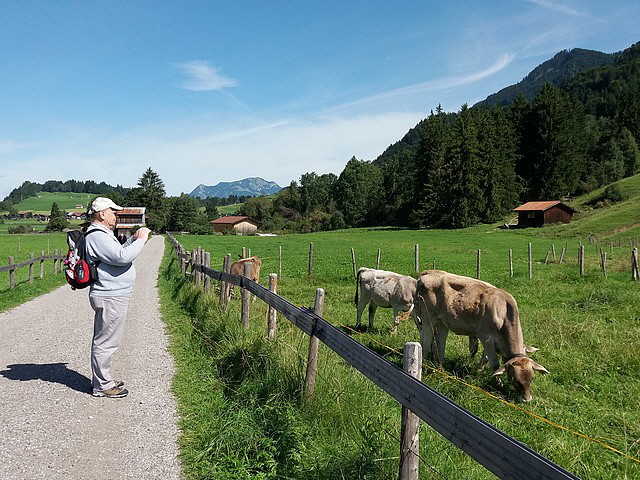 Vierbeinige Rasenmäher (Butterhirsche) bei der Arbeit.