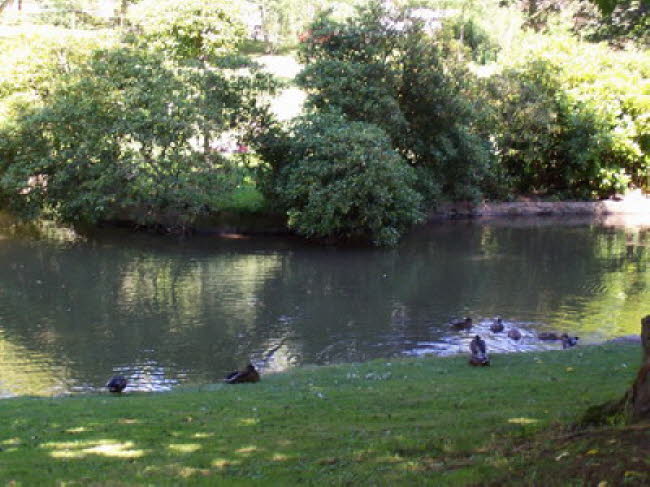 Nerotalanlage Wiesbaden 08 2007