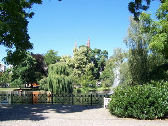 Warmer Damm Wiesbaden 03 2007