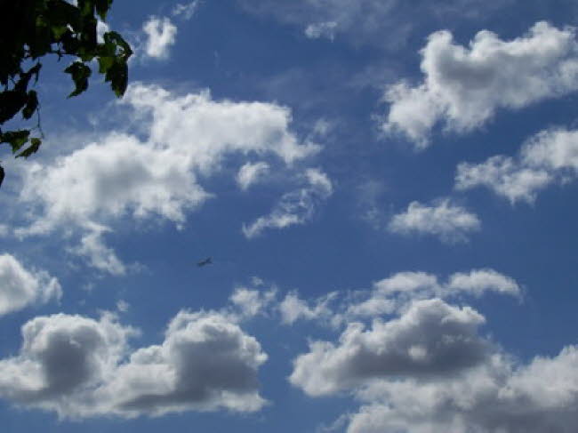 vom Biebricher Rheinufer aus 2007